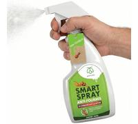 Pestmatic® Spray Anti-Fourmis & Barrière Liquide, Adapté aux Animaux | Nettoyant Puissant Insectes Rampants, Lave et Chasse sans Insecticide, Répulsif Physique pour Maison, Cuisine & Jardin
