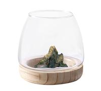 Petit Aquarium avec Base en Bois, Vase Bocal À Poisson en Verre Transparent avec Support en Bois, Vase Hydroponique en Verre, Aquarium Écologique, Vases À Fleu pour Aquariums