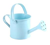 Petit arrosoir, boîte en métal pour Enfants de 2, 8x4, 7 Pouces - Outil d'arrosage intérieur Portable antirouille pour Jardin, Maison/Bleu Clair