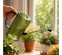 Petit arrosoir de 1 L pour plantes d'intérieur et d'extérieur avec long bec en métal, versement précis, poignée ergonomique, vert olive