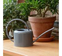 Petit arrosoir de 11 l en acier galvanisé et thermolaqué, couleur chaux, pour plantes d'intérieur