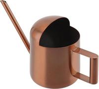 Petit arrosoir en acier inoxydable de 300 ml pour plantes d'intérieur