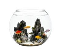 Petit Bocal À Poisson Petit Conteneur Pour Aquarium Résistant Chocs