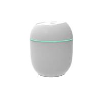 Petit humidificateur en plastique silencieux, humidificateur personnel de bureau coloré, 2 Modes de brume, alimenté par USB, for voyage, bureau et maison(Wit)