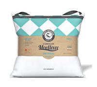 Petit Meunier Oreiller Moelleux 60x60cm Carré Ergonomique Conçu en France