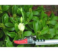 Petit sécateur de jardin pour rosiers et plantes épineuses - Ergonomique et léger