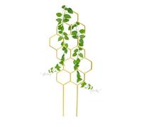 Petit Treillis pour en Pot Support de Croissance Verticale pour | Tuteurs À Fleurs En Pot pour Pots Grimpantes Monstera Pothos Lierre Fleurs Jardinage Intérieur Balcon