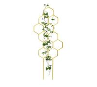 Petit treillis pour plantes en pot - Aide à la croissance verticale - Bâtons de support pour pois - Pour lierre, philodendron, fleurs, extérieur, balcon