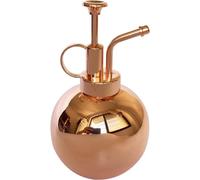 Petit vaporisateur et arrosoir rose de 0,5 l pour plantes d'intérieur
