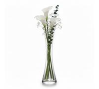 Petit Vase de 25cm de Haut avec Un Cou Fin et étroit,vases en Verre Transparent à Bouche Petite,Vase à Fleurs en Verre pour la décoration de la Maison,Salon,Bureau et centres de Table,Transparent