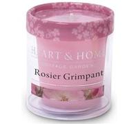 Petite bougie heart and home rosier grimpant Multicolore G