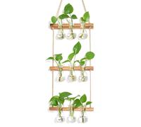 Petite bouteille en verre en forme de goutte, petit vase avec support pour plantes, station de bouturage 3x3, boutures en verre, accessoires pour plantes d'intérieur, terrarium végétal, support pour p