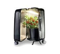 Petite Chambre de Culture Portable Neo V3.0 - Valise de Culture Discrète avec LED Bonsanto, Filtre à Charbon Silencieux, Ventilation Optimisée - Kit Complet avec Terre, Pots (3,2L) & Engrais
