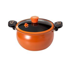 Petite Cocotte Minute Marmite de Cuisine | Autocuiseur Anti-Adhésif avec Couvercle Transparent pour Soupes Ragoûts et Cuisson sur Induction Domestique