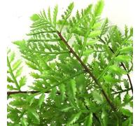 Petite figurine décorative de 30 cm en plastique, décor bois tropical