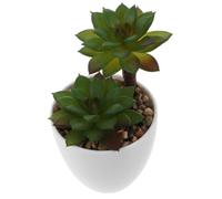 Petite Plante Grasse Artificielle en Pot, Décoration Réaliste 1 PC