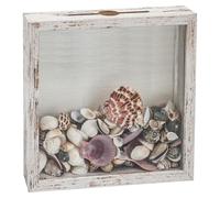 Petite vitrine éclairée, collection coquillages, blanche, dimensions 8 x 8 cm, avec chargement par le haut