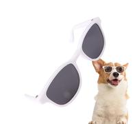 Petites Lunettes pour Animaux de Compagnie,Accessoires Photo Lunettes pour Animaux de Compagnie - Lunettes Coupe-Vent pour Chien, Costumes de fête pour de, fête Cosplay, Voyage en pl