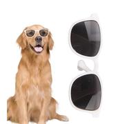 Petites lunettes pour animaux de compagnie - Accessoires photo - Lunettes pour chien - Coupe-vent - Costume de fête pour cosplay, fête, extérieur, voyage