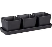 Petits bols - Lot de 4 petits bols à apéritif, présentés sur un plateau en céramique de qualité supérieure comprenant 3 bols de 300 ml. Idéal pour les tapas, les en-cas et les amuse-bouches. Dimension