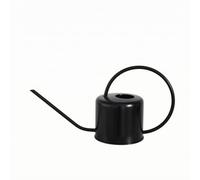 PETSOLA Arrosoir en INOX Compact | Ergonomique, Arrosoir à Bec étroit, Récipient, Noir, 1300ml