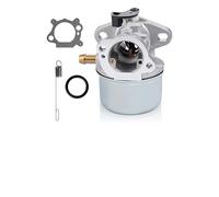 PETSTIBLE Carburateur pour tondeuse à gazon, compatible avec BS 799868 694882 498254, convient pour moteur série 122000 et modèles 6,5 HP