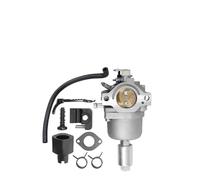 PETSTIBLE Carburateur pour tondeuse Murray 405000X8C, convient pour tracteur tondeuse L100 LX288 13.5HP, remplace 808728 697203 795873
