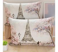PETTI Artigiani Italiani - 2 Taies d’Oreiller 60x40 cm en Microfibre, Coussins Décoratifs Chambre, Salon, Lot de 2 Housses de Coussin, Taie Paris, 100% Made in Italy