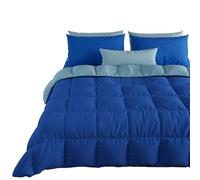 PETTI Artigiani Italiani - Couette Chaude Hiver 160x260 Bicolore BleuCiel, Double Face, Couette pour lit 1 Personnes, en Microfibre 300g/m², Made in Italy