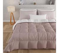 PETTI Artigiani Italiani - Couette Chaude Hiver 240x260 Bicolore Rose AncienBlanc, Double Face, Couette pour lit 2 Personnes, en Microfibre 300g/m², Made in Italy