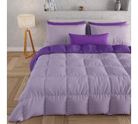 PETTI Artigiani Italiani - Couette Chaude Hiver 260x270 Bicolore LilasViolet, Double Face, Couette pour lit 2 Personnes, en Microfibre 300g/m², Made in Italy