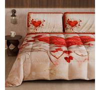 Petti Artigiani Italiani - Couette d'hiver, Couette d'hiver pour lit Simple Double Face, Couleur Unie et Impression numérique, Shabby 04 338, 100% Microfibre, fabriquée en Italie