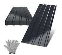 Peviasot Lot de 12 plaques de toit profilées - 115 x 45 cm - En tôle trapézoïdale - En acier - Anthracite - 0,25 mm - Pour abri de jardin, abri de voiture, abri d'outils, avec gants - Environ 6 m²