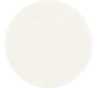 PFERD 42770050 Plateau de ponçage Diamètre 50 mm