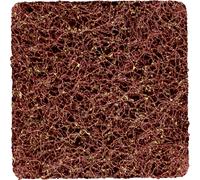 PFERD 42780499 PFERD COMBIDISC CD non tissé dur 50x50 mm A100G pour un ponçage fin et une finition parfaite 35 mm 50 pc(s)