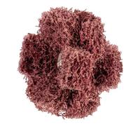 PFERD Pferd POLINOX Étoile abrasive T 38-3 A 80 Quantité:1