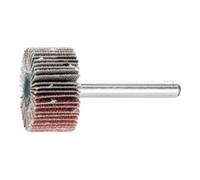 PFERD PFERD Roues à lamelles sur tige F 3015/6 A 80 Quantité:1