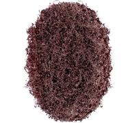 PFERD TOOLS 44639100 Ronde pour corps en marbre Diamètre 60 mm 100 pc(s)