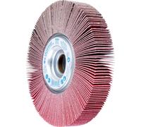 PFERD TOOLS 44733208 Roue à éventail Diamètre 165 mm 2 pc(s)