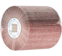 PFERD TOOLS 44783120 Rouleau abrasif à lamelles Diamètre 100 mm 1 pc(s)