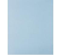 PFERD 45015080 Papier abrasif manuel grain 800 L x l 280 mm 230 50 pcs.