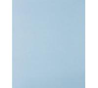 PFERD TOOLS 45015080 Feuille abrasive pour ponçage manuel Grain 800 (L x l) 280 mm x 230 mm 50 pc(s)