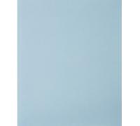 PFERD TOOLS 45015100 Feuille abrasive pour ponçage manuel Grain 1000 (L x l) 280 mm x 230 mm 50 pc(s)