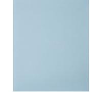 PFERD TOOLS 45015100 Feuille abrasive pour ponçage manuel Grain 1000 (L x l) 280 mm x 230 mm 50 pc(s)