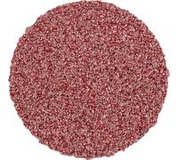 PFERD TOOLS CD 25 A 60 FORTE 42751306 Feuille abrasive Grain 60 (Ø) 25 mm 100 pc(s)