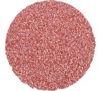 PFERD TOOLS CD 50 A 36 FORTE 42751503 Feuille abrasive Grain 36 (Ø) 50 mm 100 pc(s)