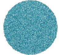 PFERD TOOLS CD 50 Z 36 42753503 Feuille abrasive Grain 36 (Ø) 50 mm 100 pc(s)