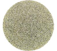 PFERD TOOLS CD DIA 38 D 251 - P 60 42740004 Feuille abrasive Grain 251 (Ø) 38 mm 10 pc(s)