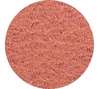 PFERD TOOLS CDR 50 A-COOL 36 42772503 Feuille abrasive Grain 36 (Ø) 50 mm 100 pc(s)