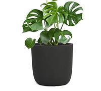 Pflanzwerk® Pot de Fleur Fibre de Verre Cup Ø27cm Anthracite Jardinière antigel* *Protection UV* *Qualité européenne*
